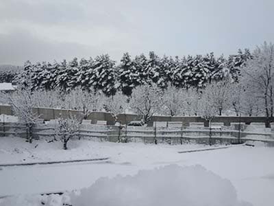 بارش باران وبرف در استان البرز 